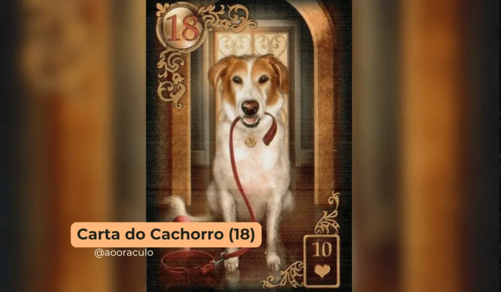 Carta Do Cachorro
