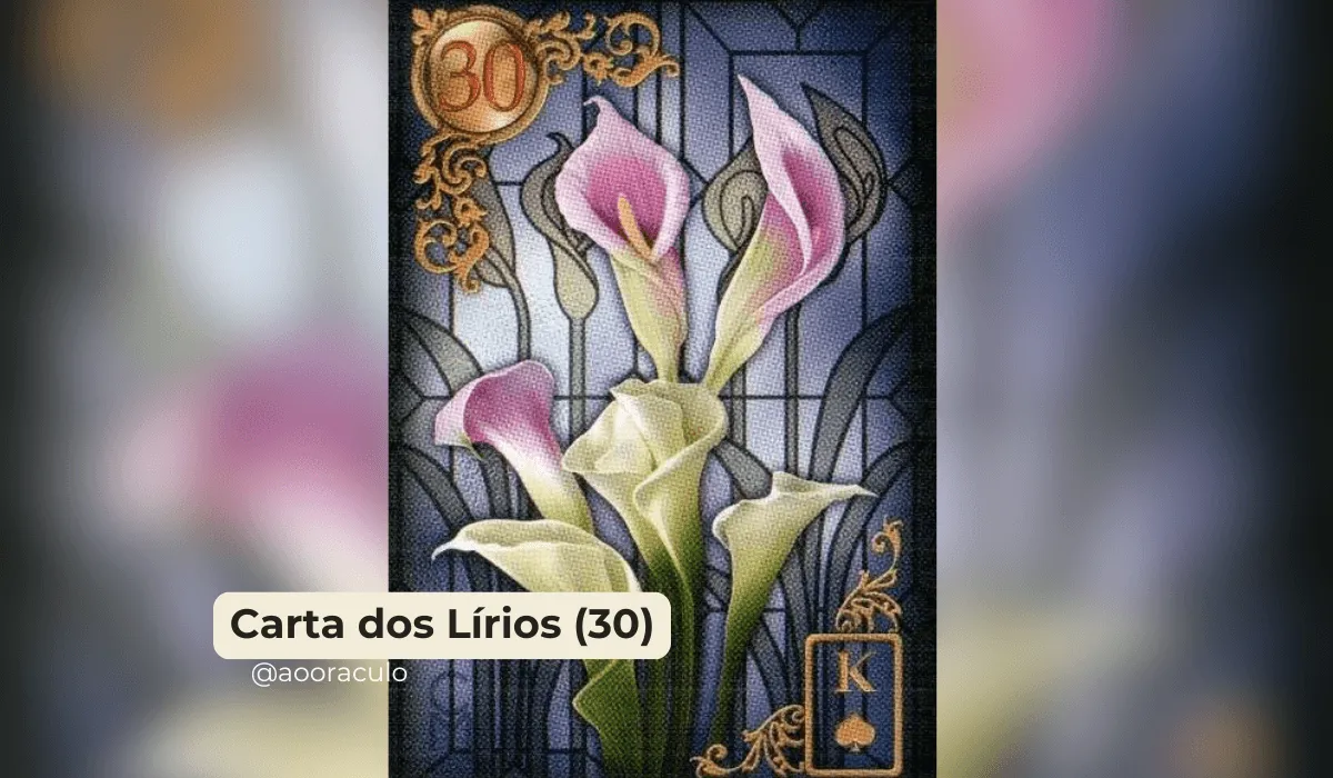 Carta Dos Lirios 30 No Baralho Cigano